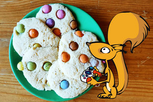 Flizzy mit Daten-Cookies; Bild: Internet-ABC