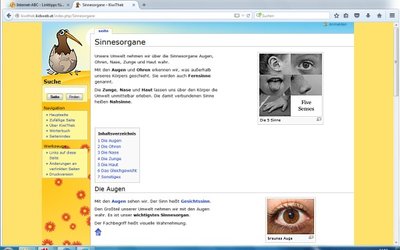 Screenshot: http://kiwithek.kidsweb.at/index.php/Sinnesorgane