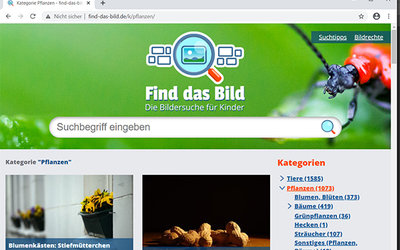 Screenshot: find-das-bild.de/k/pflanzen/
