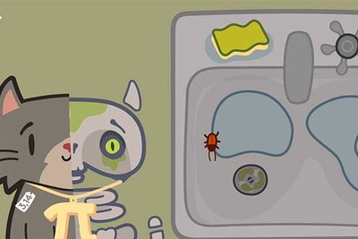 Screenshot aus "Katze Q: Ein Quanten Adventure"; Bild: ct.qmat