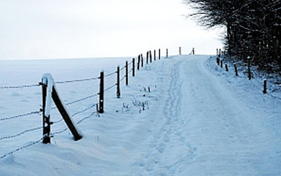 Schneebedeckter Weg im Winter