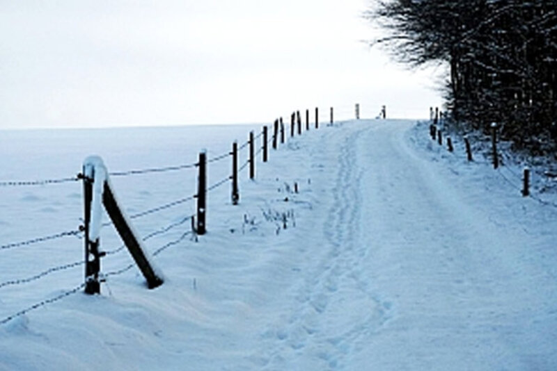 Schneebedeckter Weg im Winter; Bild: Internet-ABC Schneebedeckter Weg im Winter