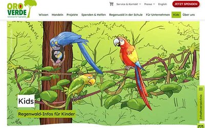 Screenshot: www.regenwald-schuetzen.org/...