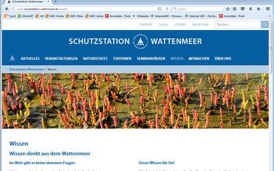 Screenshot: www.schutzstation-wattenmeer.de/wissen/