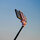 Smartphone auf Selfiestick; Bild: Steve Gale auf Unsplash