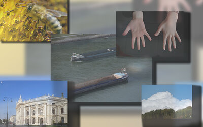 Verschiedene Bilder zu einzelnen Themen des Sachunterrichts; Bilder: Find-das-Bild.de / Michael Schnell