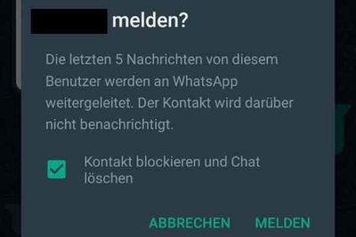 Inhalte melden bei WhatsApp; Screenshot aus WhatsApp-Chat