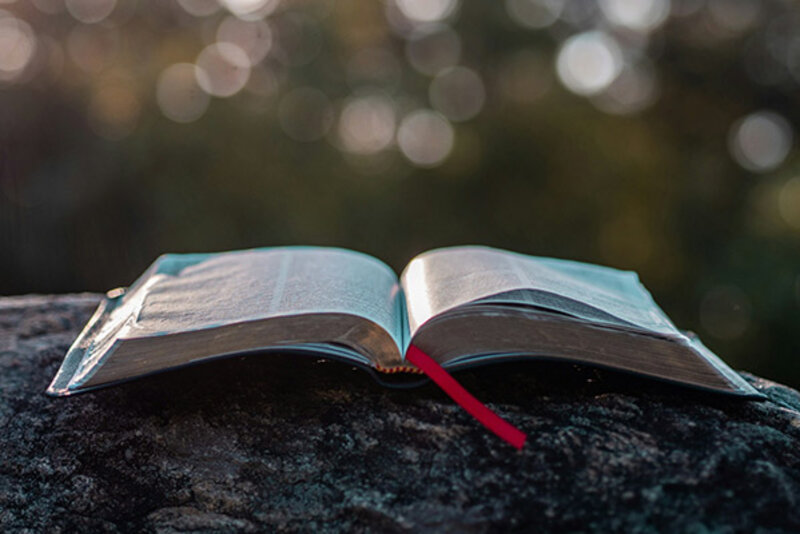 Ein aufgeschlagendes Buch liegt auf einem Stein; Bild: Aaron Burden auf Unsplash
