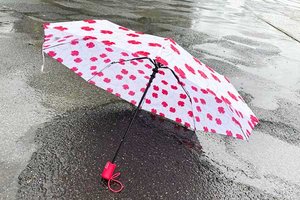 Regenschirm; Bild: Internet-ABC