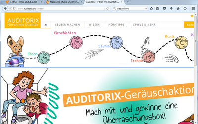 Screenshot: www.auditorix.de