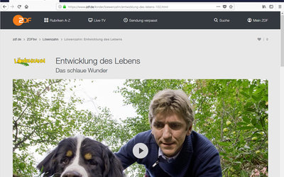 Screenshot: www.zdf.de/kinder/loewenzahn/entwicklung-des-lebens-102.html