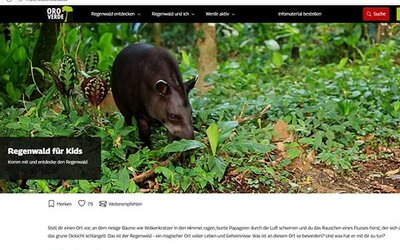 Screenshot: kids.oroverde.de