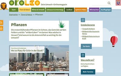 Screenshot: www.oekoleo.de/...