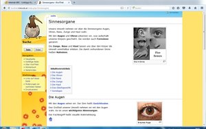 Screenshot: http://kiwithek.kidsweb.at/index.php/Sinnesorgane