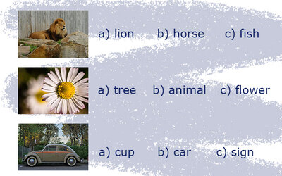 Englisch-Quiz; Bilder: Find-das-Bild.de / Michael Schnell