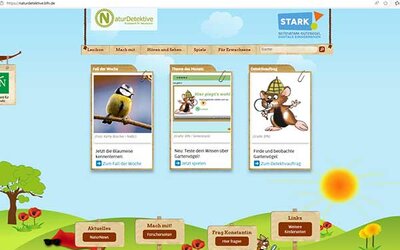 Screenshot: naturdetektive.bfn.de