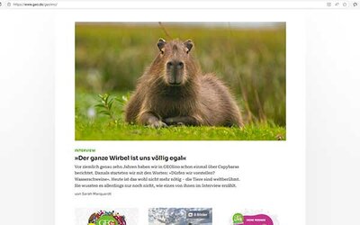 Screenshot: www.geo.de/...
