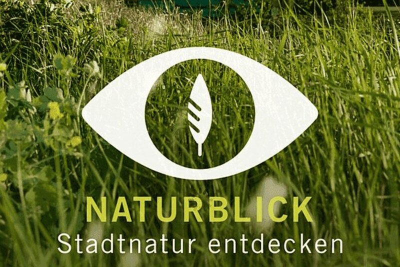 Bild: Naturkundemuseum Berlin