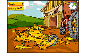 Bild aus dem Spiel "Nadel im Heuhaufen"