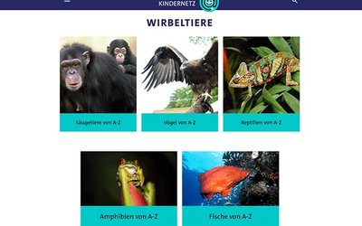 https://www.kindernetz.de/wissen/tierlexikon/tiere-von-a-z-100.html