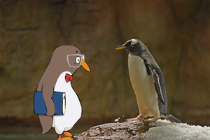 Echter und unechter Pinguin; Bild: Find-das-Bild.de und Internet-ABC