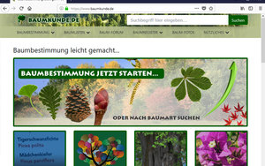 Screenshot: www.baumkunde.de