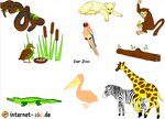 Baukasten: Im Zoo