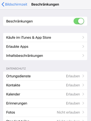 Screenshot: Einschränkungen iOS allgemein